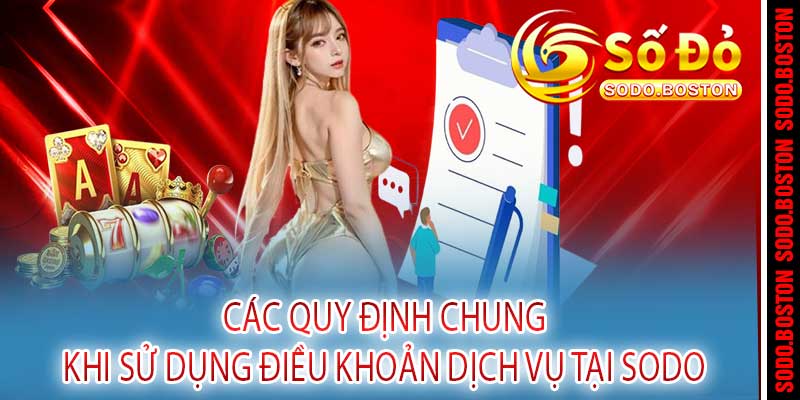 Điều Khoản Dịch Vụ